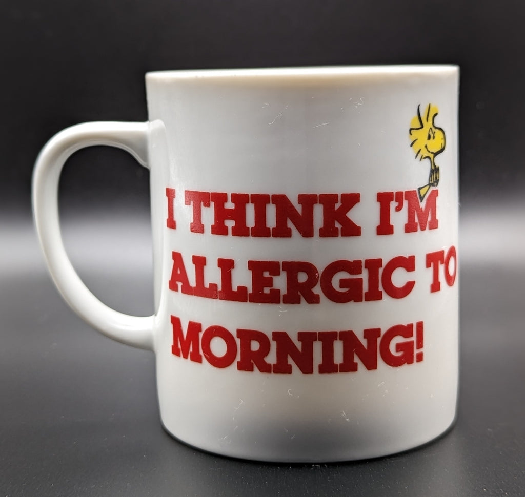 Vintage Snoopy With Woodstock Coffee Mug Cup